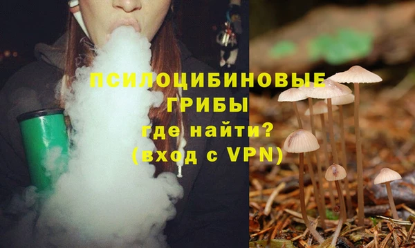 PSILOCYBIN Алексин