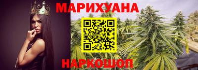 spice Кингисепп