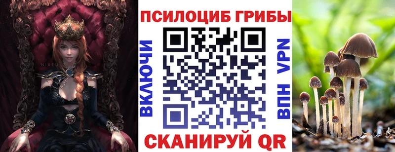цена наркотик Чита Галлюциногенные грибы MAGIC MUSHROOMS
