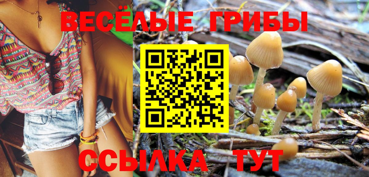 Галлюциногенные грибы мицелий Чита