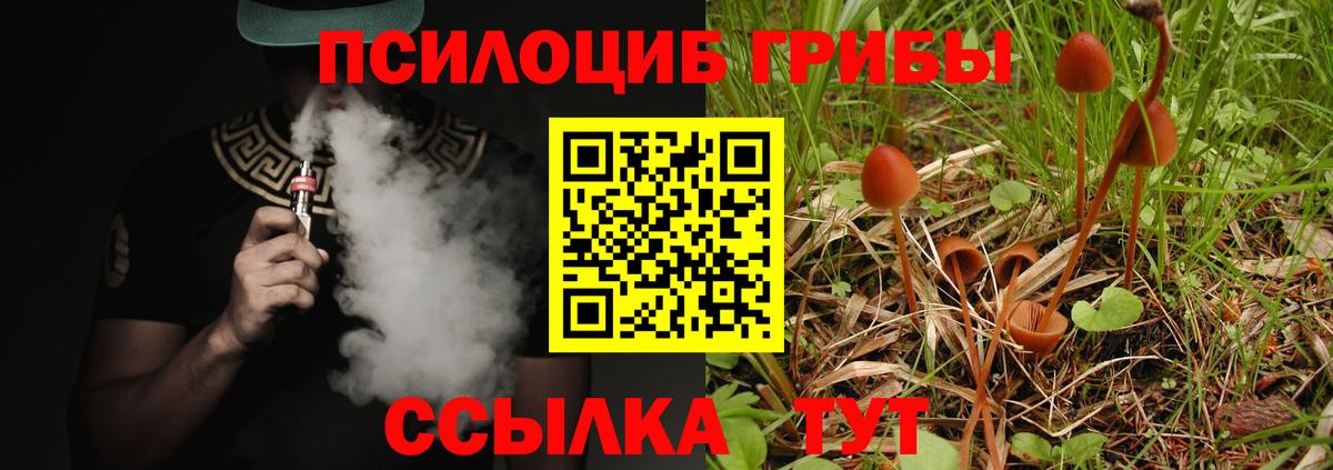 Чита  Галлюциногенные грибы Cubensis  Вход с VPN 